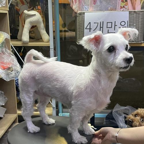 중랑구 중화동 중화리공원