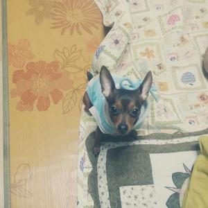 부산시 사하구 신평예비군 훈련장 뒷산