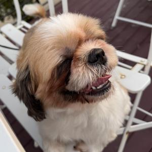 우리 아기 가족이 되어주세요.