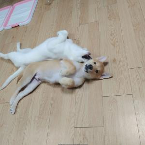 부탁드립니다.
