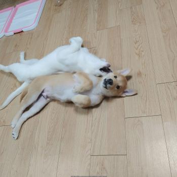 부탁드립니다.