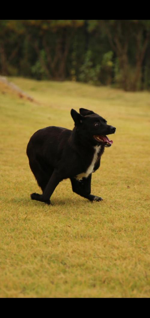블랙아이 가족을 기다립니다.