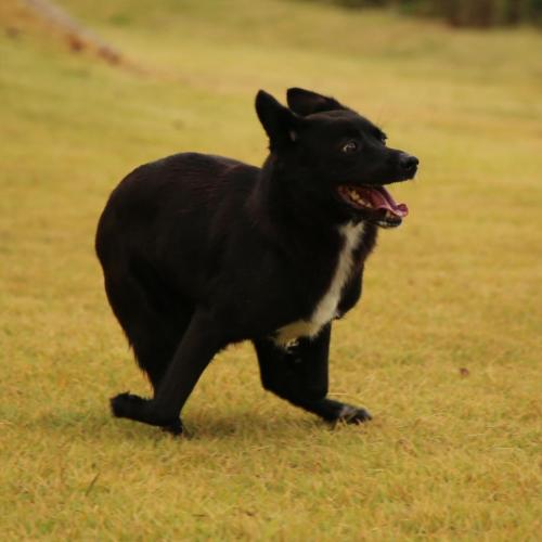 블랙아이 가족을 기다립니다.