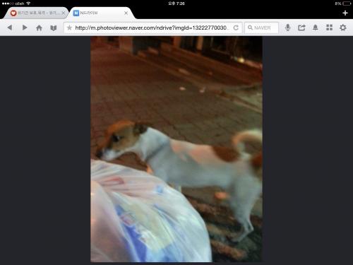 26일 안양 성결대 근처