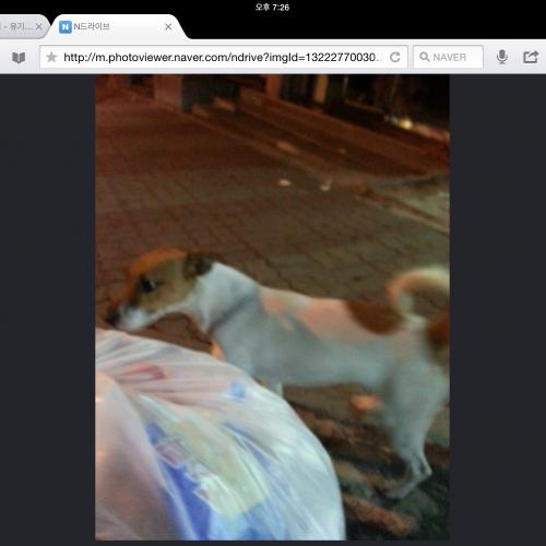 26일 안양 성결대 근처