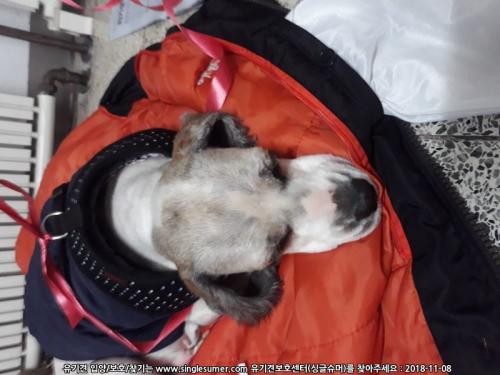 인천 동양동 동양주공4단지 인근