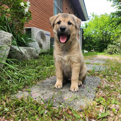 2개월, 아가 가족을 기다립니다.