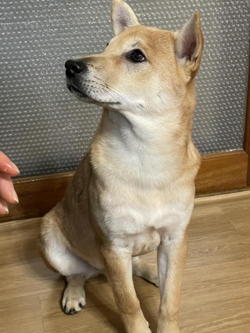 저희 아기 좀 찾아주세요....