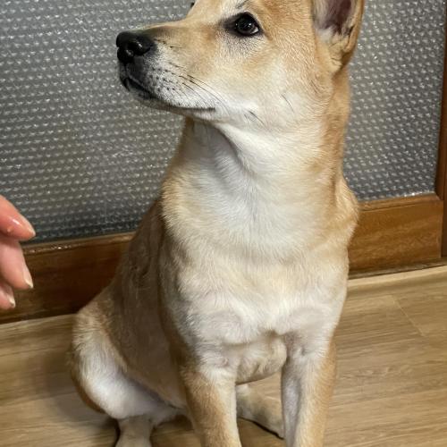 저희 아기 좀 찾아주세요....