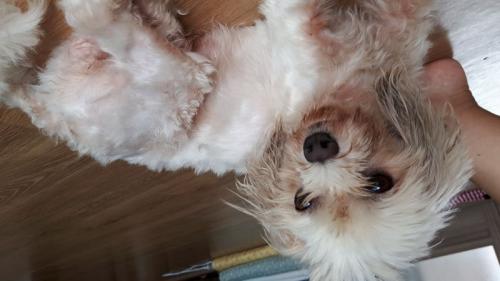 사천시 서포면 토끼로