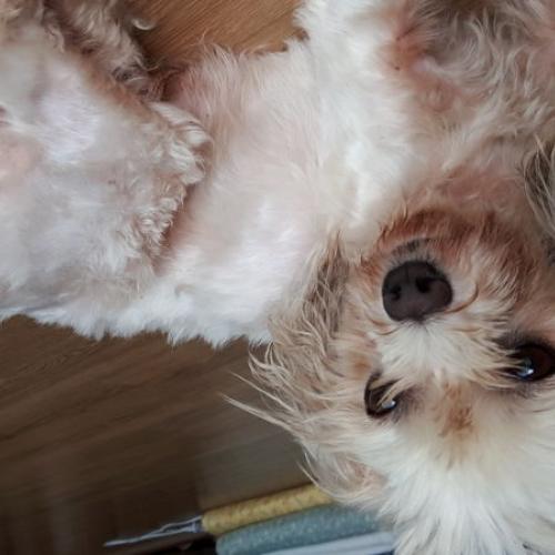 사천시 서포면 토끼로