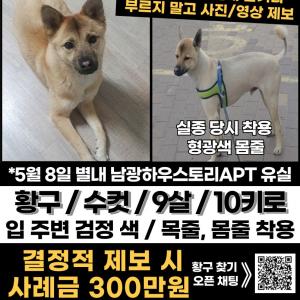 아이를찾습니다