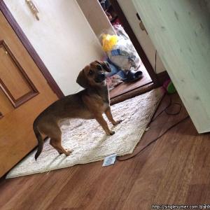 해운대구재송동