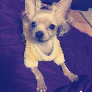 가족을찾습니다..도와주세요