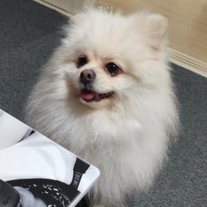 보호중입니다