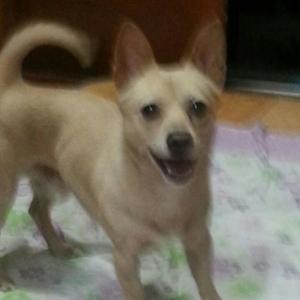 우리행복이좀찾아주세요 -부산진구범전동일대-