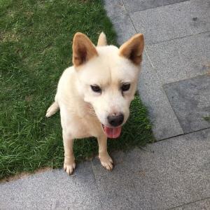 한번만잃어주세요