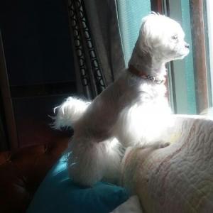 안면도백사장 새봄이