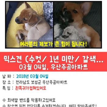 강아지를 찾아요