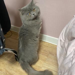 경기도 시흥시 미산동