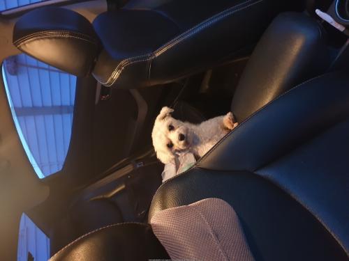 경주 양동마을, 안강 인근