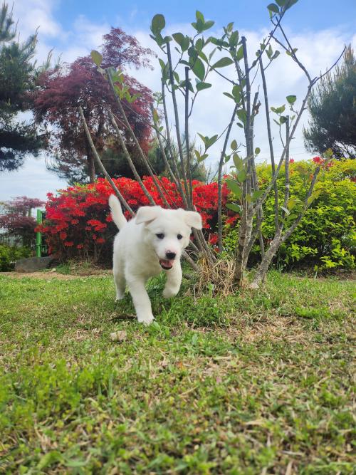 2개월 아가 가족을 찾습니다.