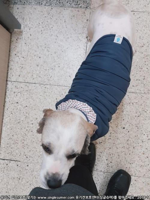 동양주공4단지에서