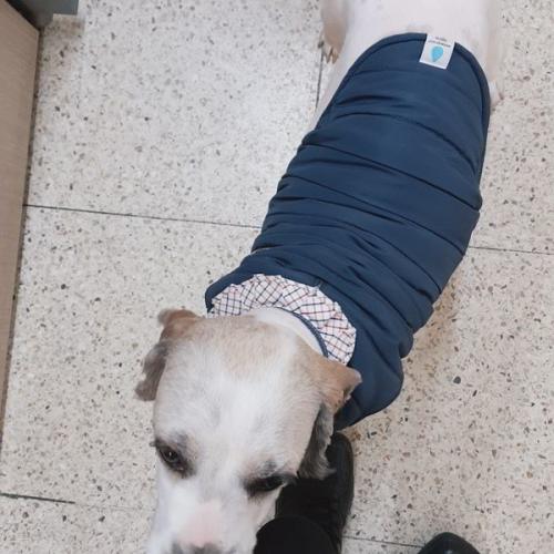 동양주공4단지에서