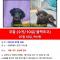 ***금천구 강아지를 찾습니다****