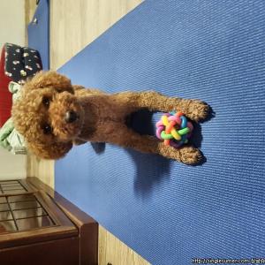 부산 초코 찾습니다!