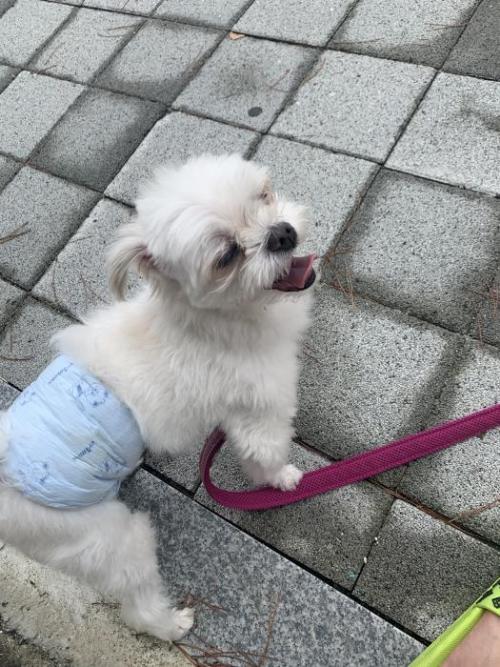 용인시처인구퀸즈하임근처