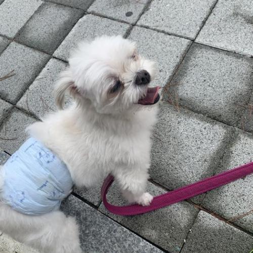 용인시처인구퀸즈하임근처