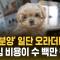 ❤️공지❤️ [업체필독] 규정어길 경우 게시물 삭제 / 업체 게시글 작성 관련 중요 공지.