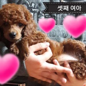 셋째 여아
