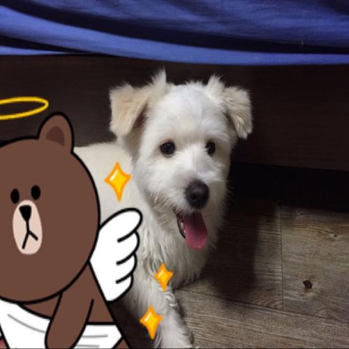 7.5일 성수역 부근에서 발견했습니다