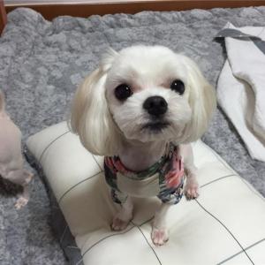 우리 그루좀 찾아주세요!!!!!