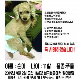 순이를 찾고있습니다