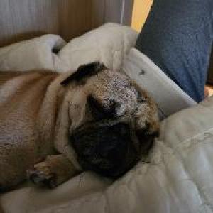 하느재로 20번길