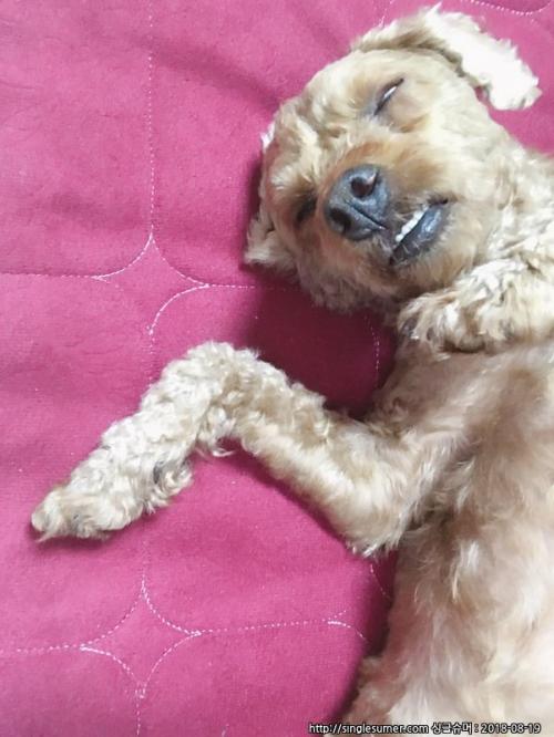 인천 인하대 부근