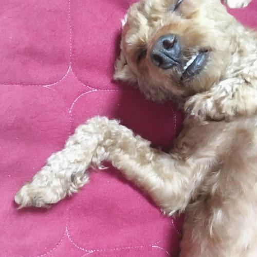 인천 인하대 부근