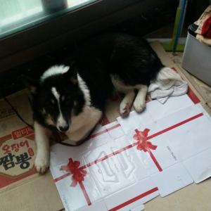 꼭좀 찾아주세요