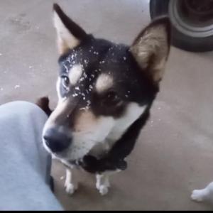 찾았습니다~!!^^