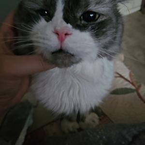 간절하게 찾습니다