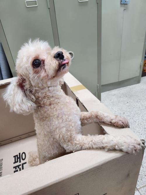 파주 가람마을8단지에서 발견했습니다.