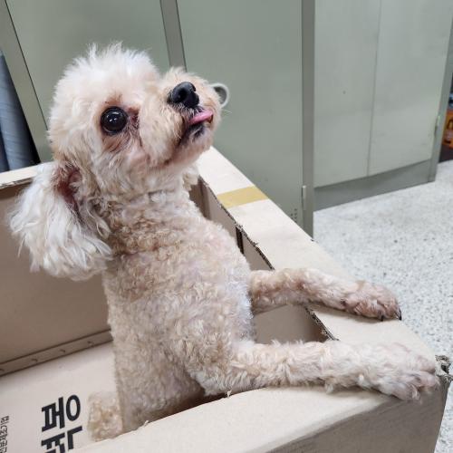 파주 가람마을8단지에서 발견했습니다.