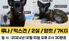 금강공원~동래역 강아지를 찾습니다!