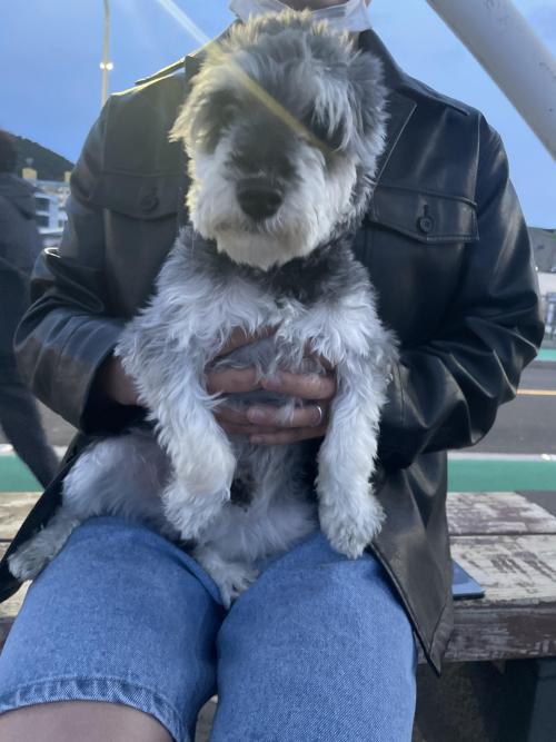 삼양검은모래해변