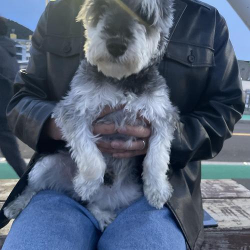 삼양검은모래해변