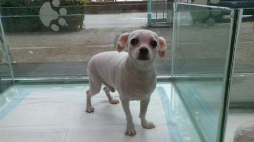 동대문구 황물로 11월 4일 발견