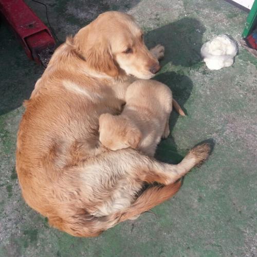 과천시 과천동 관문사거리부근